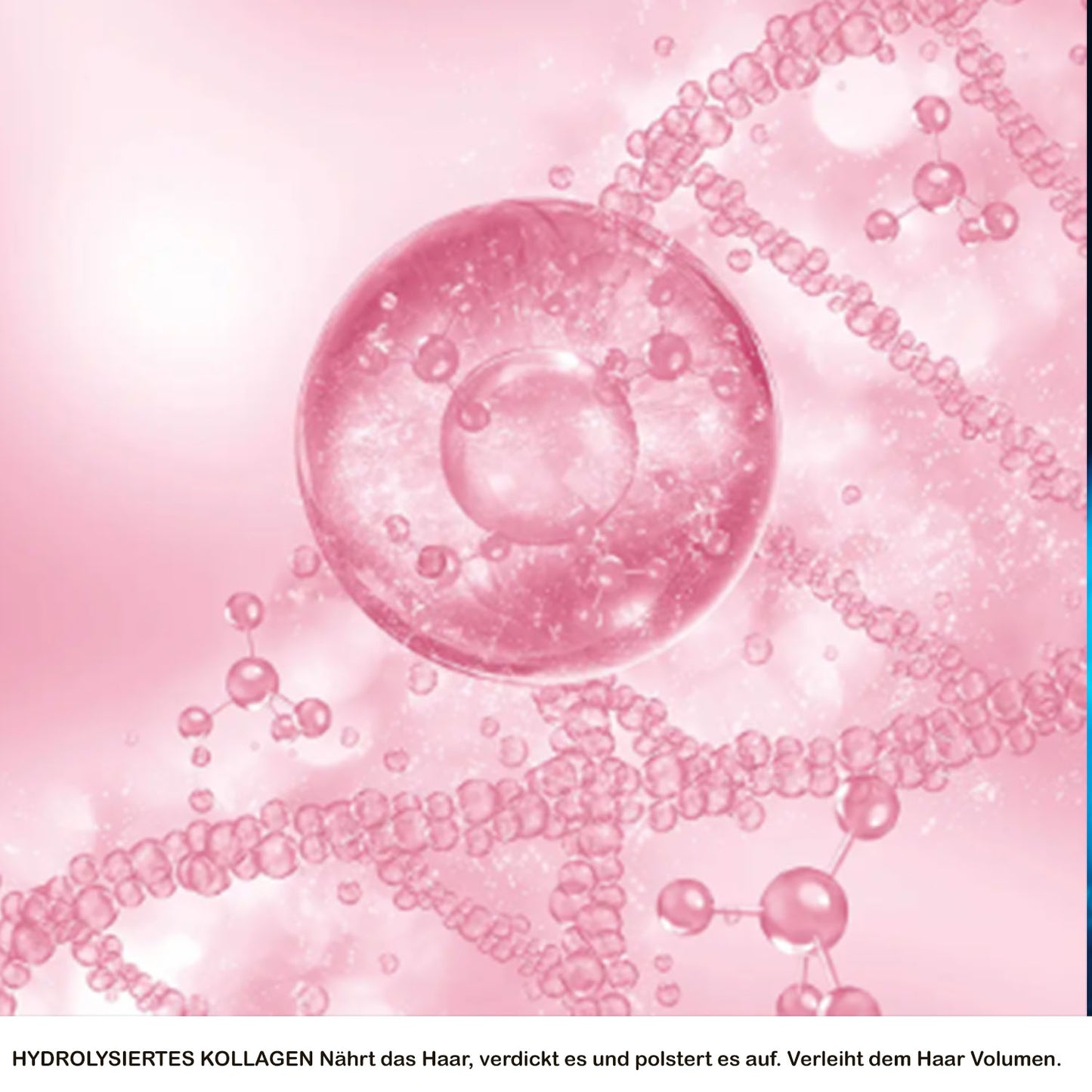 Bioxcin Collagen & Biotin Anti-Haarausfall Haarserum 100ml, Extra Volumen & Fülle - Für Dünnes, Schwaches Haar, Kräftigendes Haarwuchsmitte